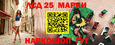 прущие грибы Кунгур