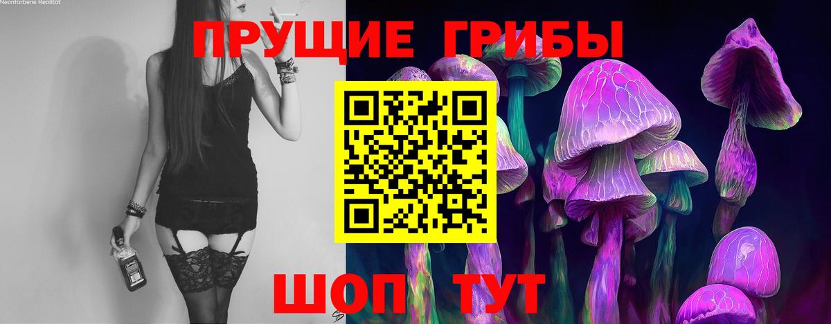 Галлюциногенные грибы Psilocybine cubensis Железногорск